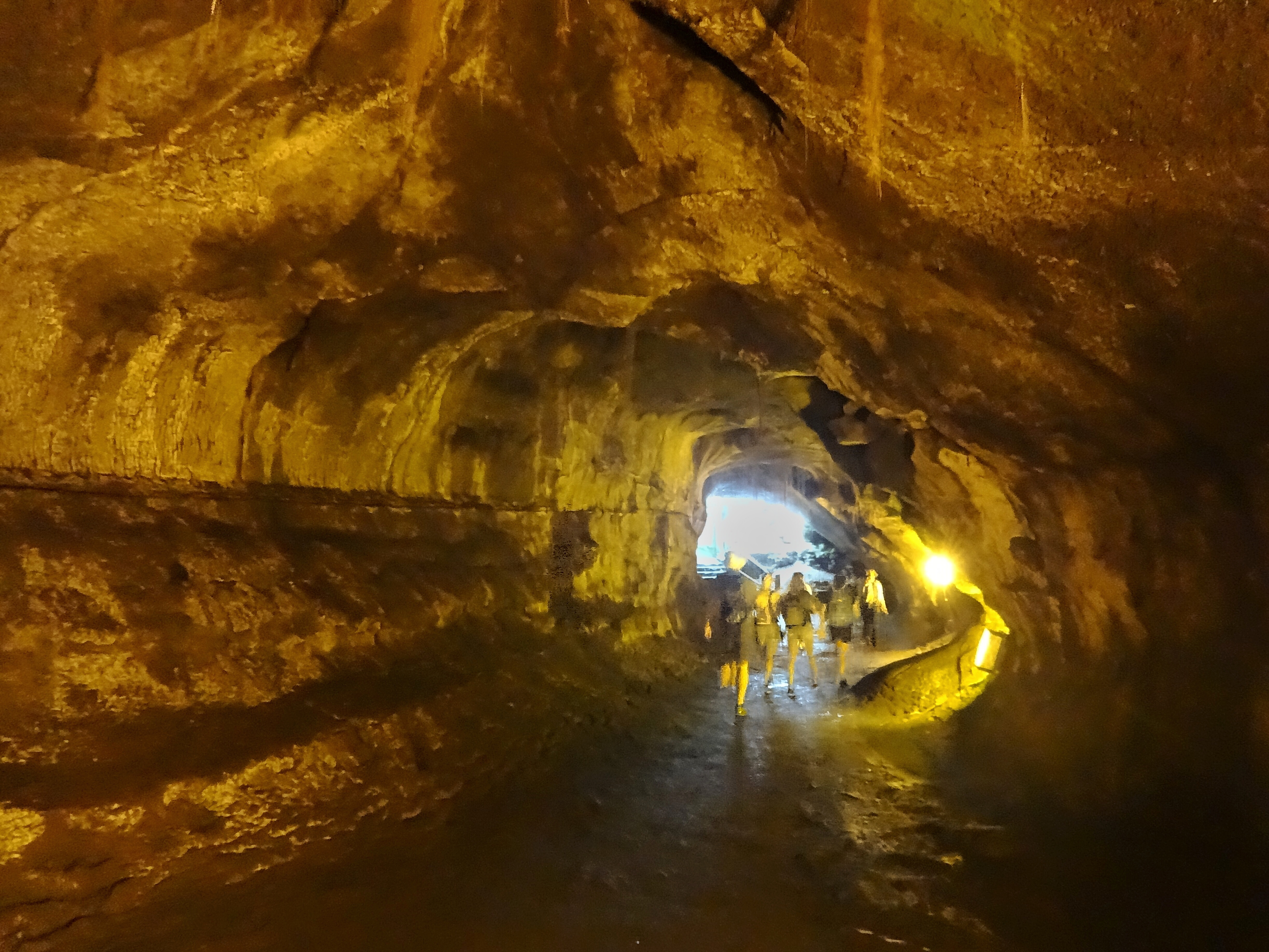 Lava Tube Tours Hawaii Outdoor Guides